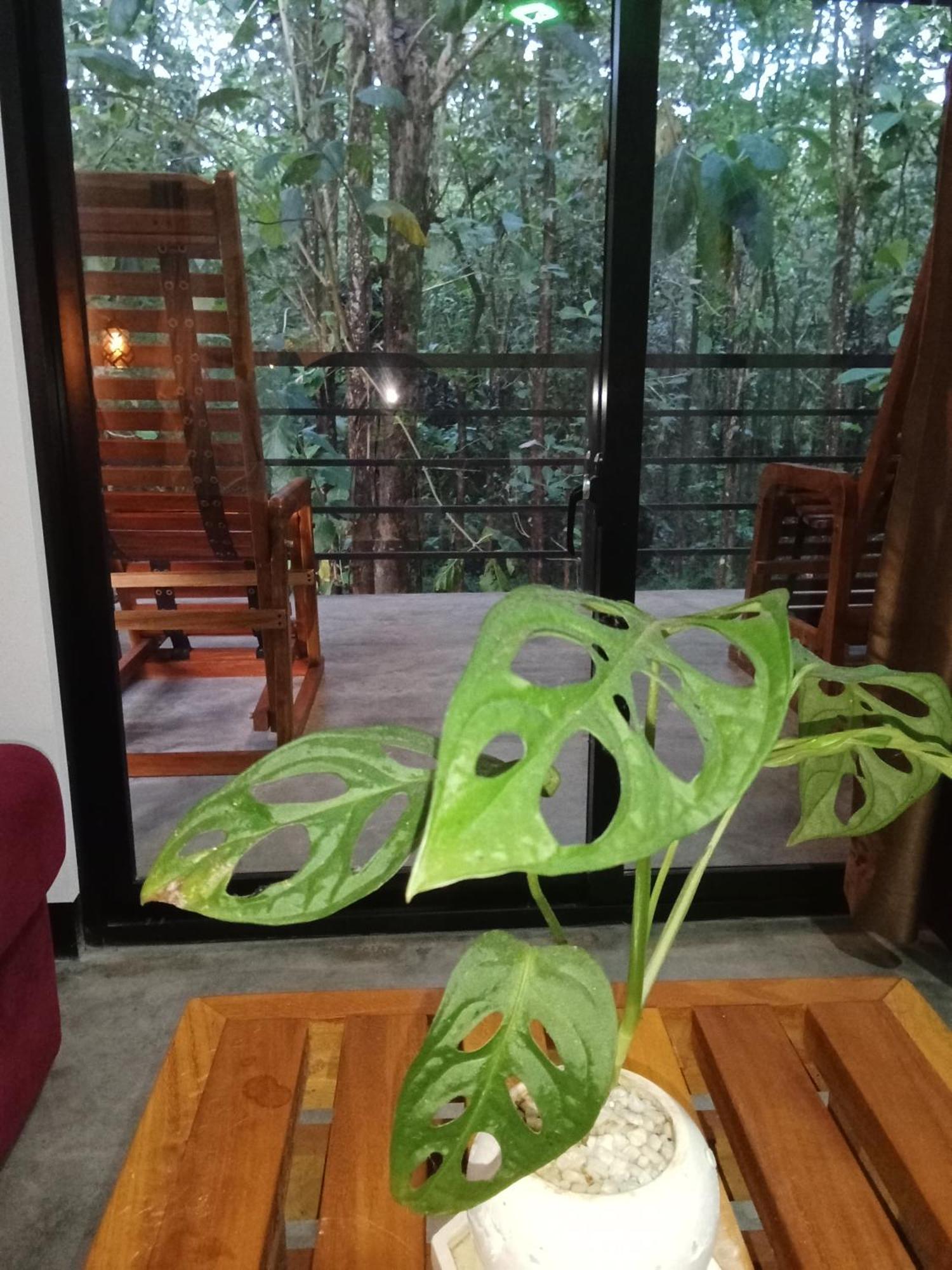 Green View Safari Resort Удавалаве Екстериор снимка